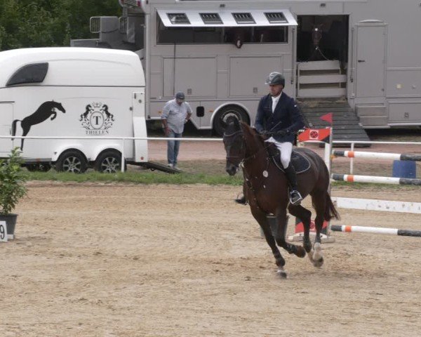 Reitturnier Heiligenwald 2025