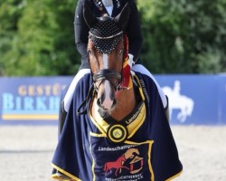 Dressurpferd Next Dancer C (Deutsches Reitpony, 2022, von FS Next Diamond)