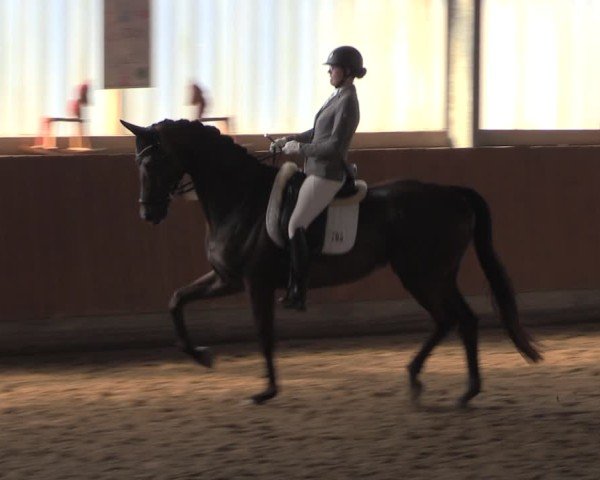 Reitturnier Herbern 2025