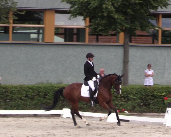 Reitturnier Neustadt/Dosse 2025