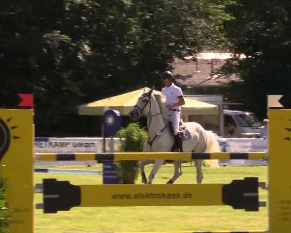 Pfingst - Dressur und Springturnier Borken 2014