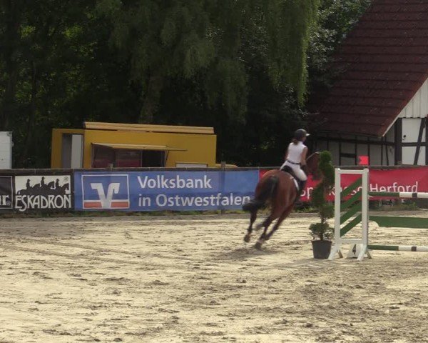 Reitturnier Vlotho-Exter 2025