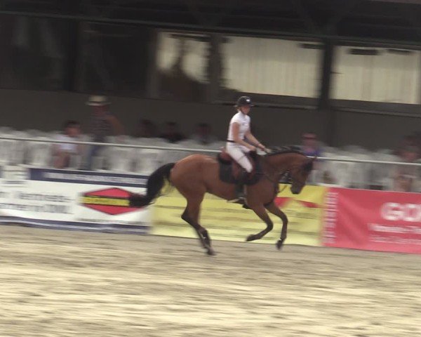 Reitturnier Vlotho-Exter 2025