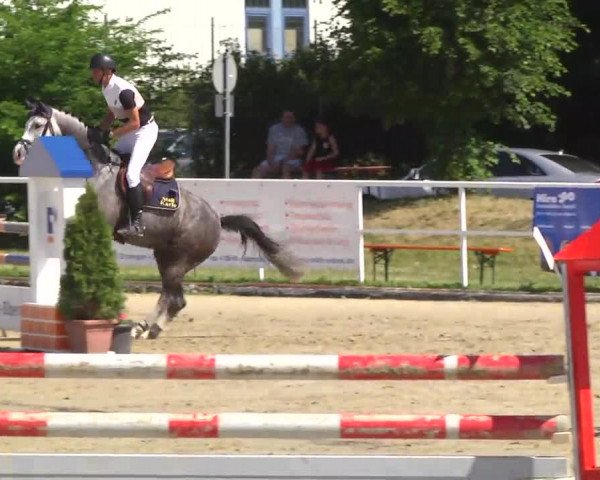 Großes Langenauer Reitturnier 2014