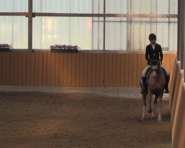 Reitturnier Herbern 2025