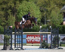 Springpferd Highteck Monnerot (Selle Français, 2017, von Kannan)
