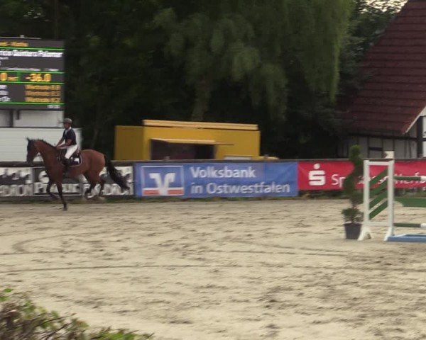 Reitturnier Vlotho-Exter 2025