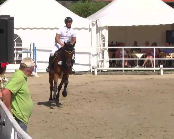 Großes Langenauer Reitturnier 2014