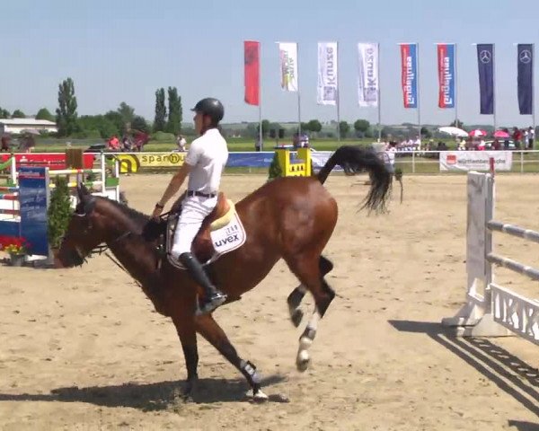 Großes Langenauer Reitturnier 2014
