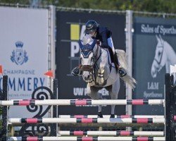 broodmare Calorie Vh Marienshof Z (Zangersheide riding horse, 2009, from Clinton)