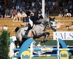 Springpferd Aquavera T (Schwedisches Warmblut, 2008, von Carland)