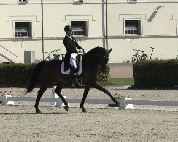Reitturnier Neustadt/Dosse 2025