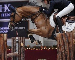 jumper King Jorden (KWPN (Royal Dutch Sporthorse), 2015, from Cornet's Prinz)