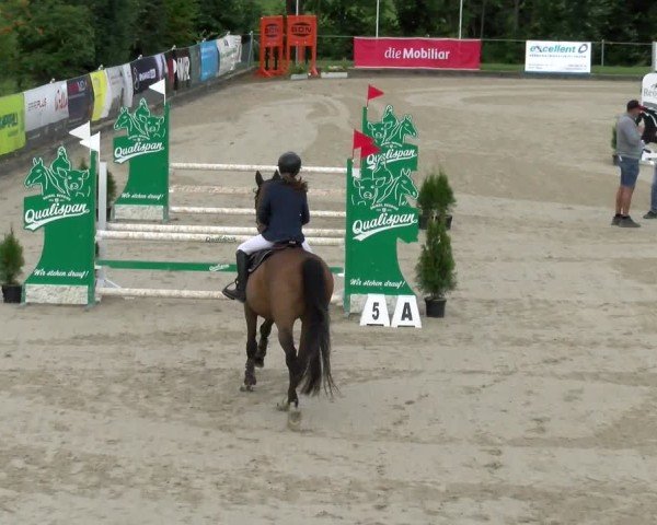 Reitturnier Maienfeld 2025