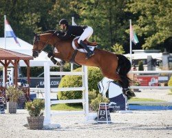 Springpferd Isidorus (KWPN (Niederländisches Warmblut), 2013, von Charisma)