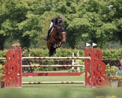 jumper Liverpool SFN (KWPN (Royal Dutch Sporthorse), 2016, from Grand Slam VDL)