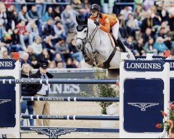 jumper Chuck Marienshof Z (Zangersheide riding horse, 2015, from Colestus)