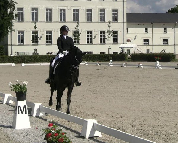 Reitturnier Neustadt/Dosse 2025