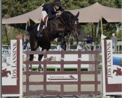 Springpferd Boebka Vh Marienshof Z (Zangersheide Reitpferd, 2013, von Balou du Rouet)