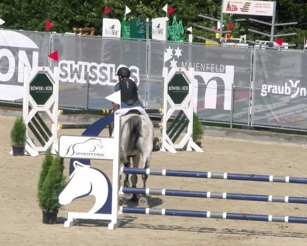 Reitturnier Maienfeld 2025