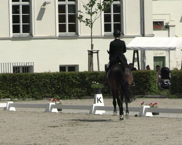 Reitturnier Neustadt/Dosse 2025