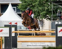 jumper Agalove Ab Z (Zangersheide riding horse, 2018, from Aganix du Seigneur)