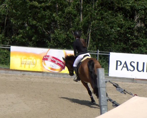 Reitturnier Maienfeld 2025