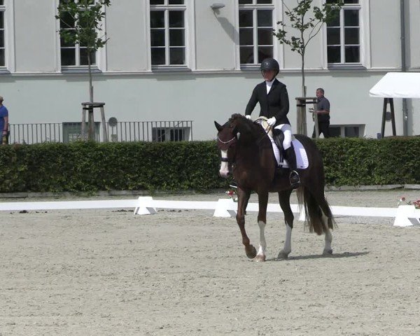 Reitturnier Neustadt/Dosse 2025