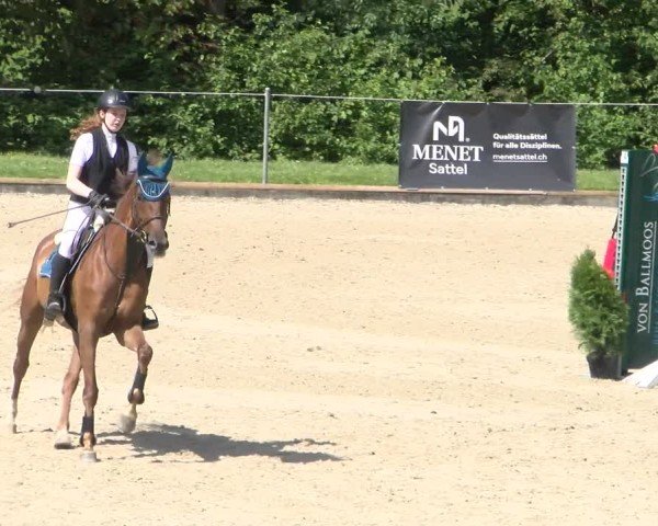 Reitturnier Maienfeld 2025