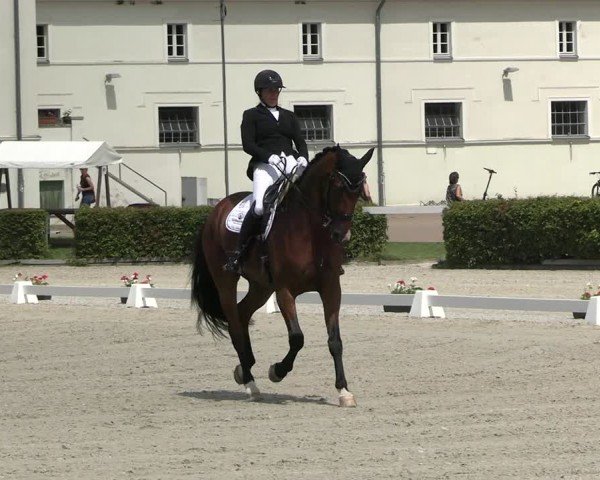 Reitturnier Neustadt/Dosse 2025