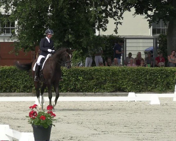 Reitturnier Neustadt/Dosse 2025