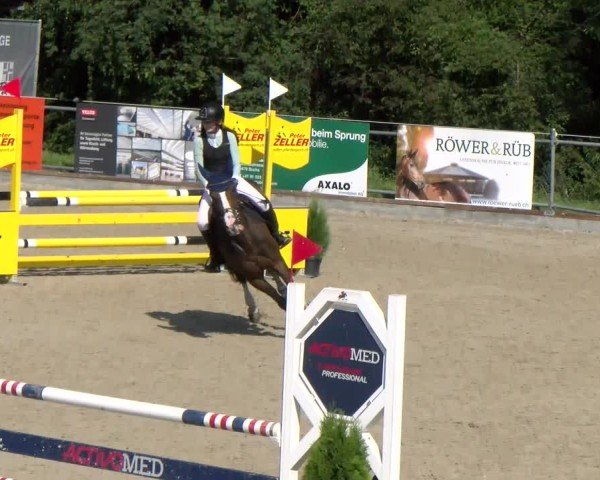 Reitturnier Maienfeld 2025