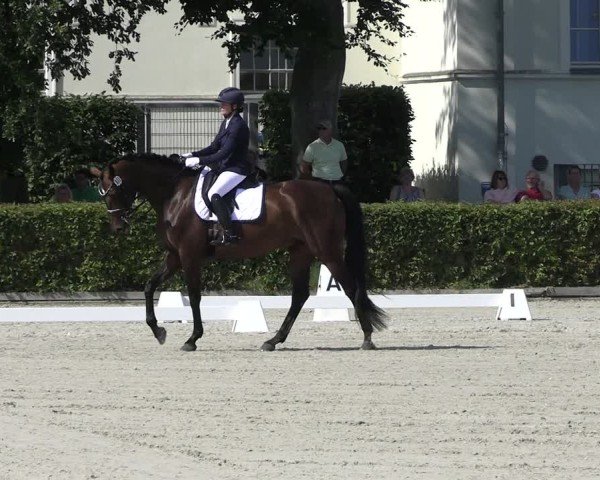 Reitturnier Neustadt/Dosse 2025