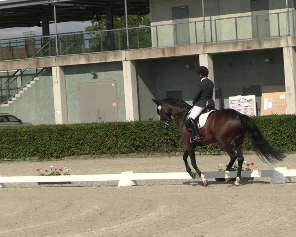 Reitturnier Neustadt/Dosse 2025