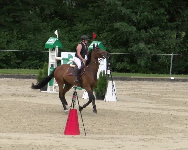 Reitturnier Maienfeld 2025