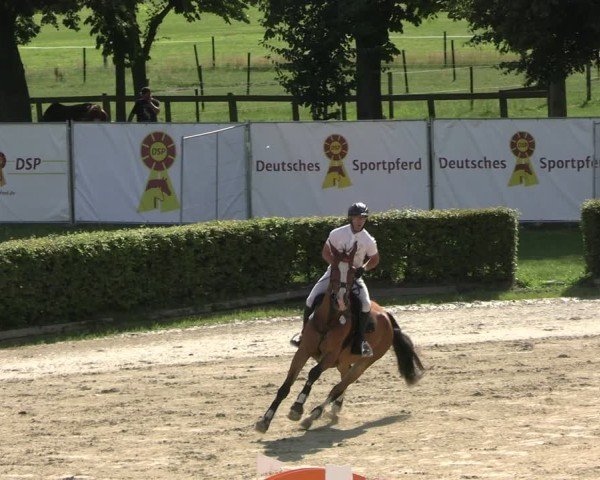 Reitturnier Neustadt/Dosse 2025