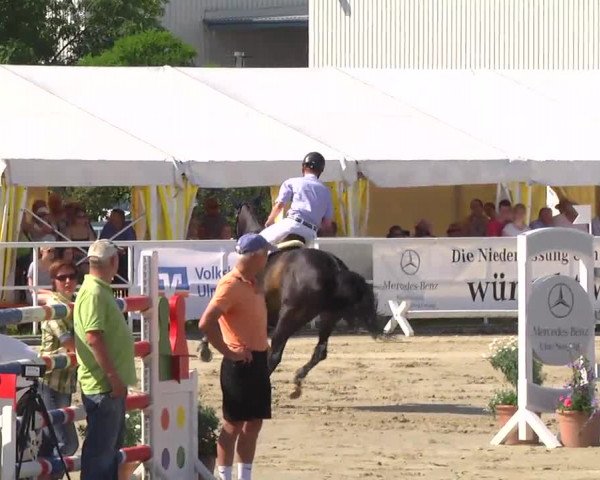 Großes Langenauer Reitturnier 2014