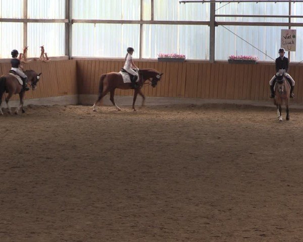 Reitturnier Herbern 2025