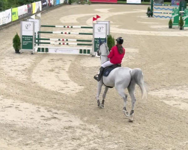 Reitturnier Maienfeld 2025