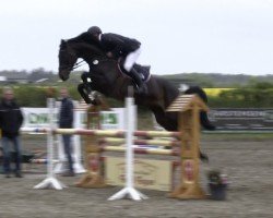 broodmare Ulanda 23 (Holsteiner, 2012, from Uriko)