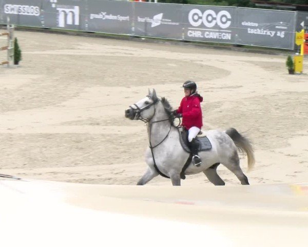 Reitturnier Maienfeld 2025