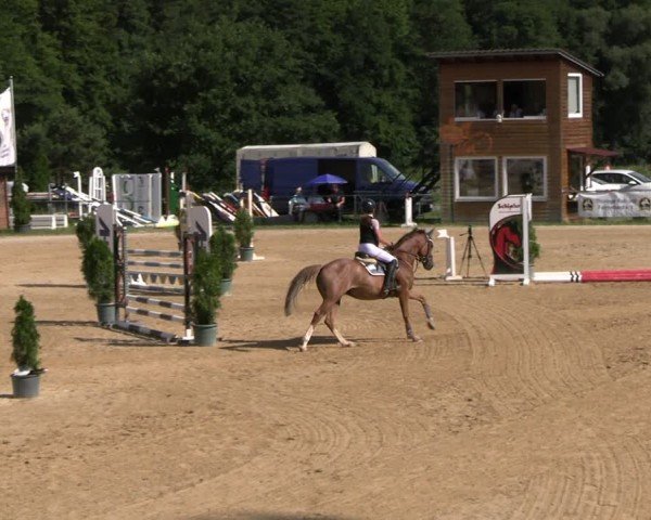 Reitturnier Bad Liebenstein/Sorga 2025