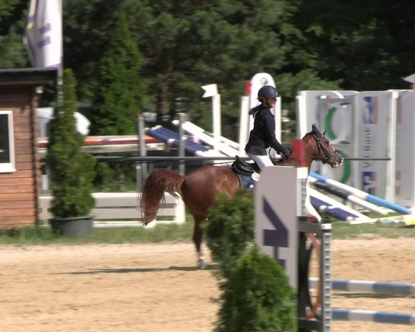Reitturnier Bad Liebenstein/Sorga 2025