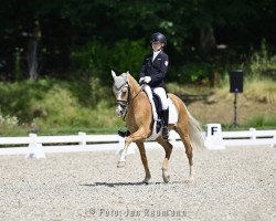 dressage horse Fs Mr. Magic (German Riding Pony, 2012, from FS Mr. Right)