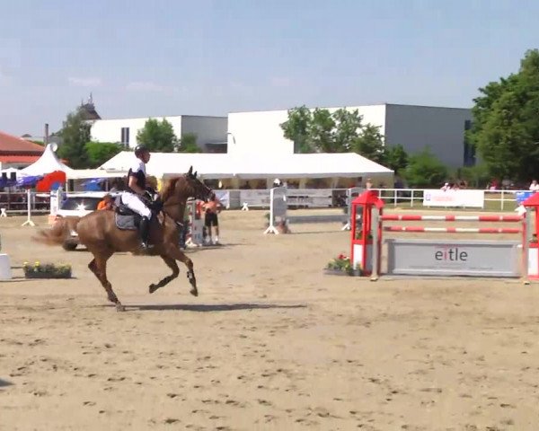 Großes Langenauer Reitturnier 2014