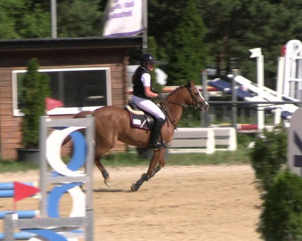 Reitturnier Bad Liebenstein/Sorga 2025