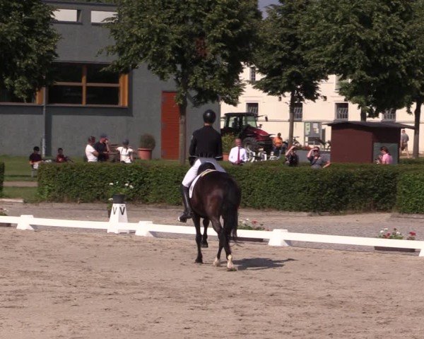 Reitturnier Neustadt/Dosse 2025