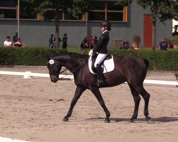 Reitturnier Neustadt/Dosse 2025
