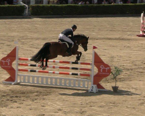 Reitturnier Neustadt/Dosse 2025