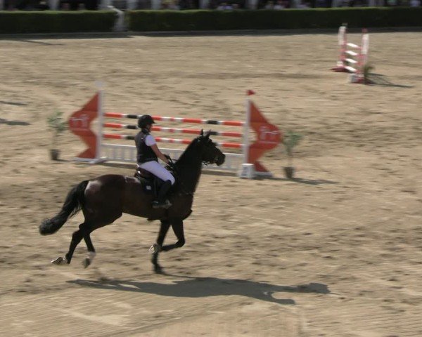 Reitturnier Neustadt/Dosse 2025